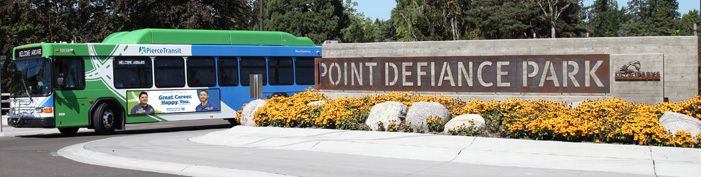 bus at park